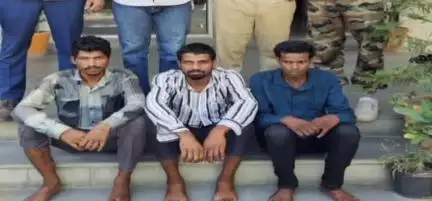 कोटड़ा: चोरी के मामले में एक माह से फरार 3 आरोपी जसंवन्तगढ के पहाड़ियों से गिरफ्तार