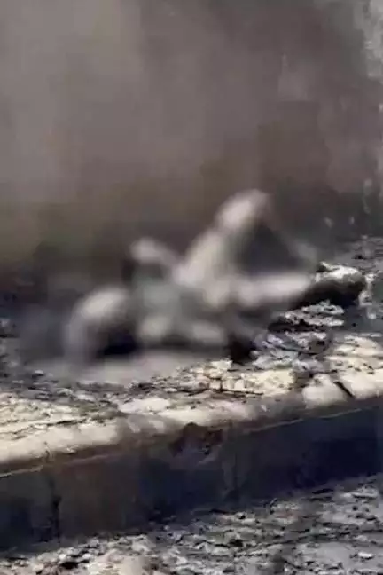 খাবার খাচ্ছিল পড়ুয়ারা, 625 ফুট থেকে হোস্টেলে ভেঙে পড়ল যাত্রীবাহী বিমান; Video-তে মৃত্যুর দৃশ্য