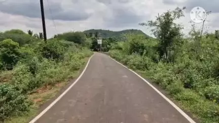 ஆம்பூர்: பனந்தோப்பு பகுதியில் விவசாய நிலத்தில் இருந்து சாலையை கடந்து சிறுத்தை சென்றதாக பொதுமக்கள் பீதி வனத்துறையினர் எச்சரிக்கை