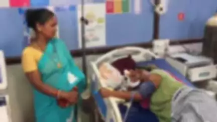 कोंडागांव: लंजोड़ा गांव में घर के अंदर काम कर रही महिला को जहरीले नाग ने डसा, जिला अस्पताल में उपचार जारी