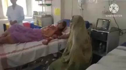 बांधवगढ़: उमरिया करकेली में खेत में काम करते वक्त महिला को सांप ने काटा, गंभीर हालत में अस्पताल में भर्ती