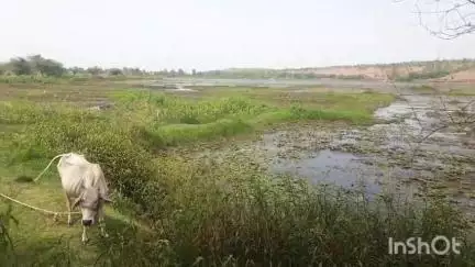દાહોદ: સુજલામ સુફલામ યોજના અંતર્ગત  સંજેલીના કેટલાક તળાવમાં કામગીરી યોગ્યન થતા વિસ્તારના લોકોમાં નારાજગી #jansamasya