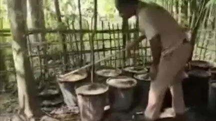 গোলাঘাট: ৰৌদুৱাৰ, চাপৰিগাঁও,আমটেঙা আদি একাধিক গাঁৱত গোলাঘাট, বোকাখাত,ফৰকাটিংআবকাৰী বিভাগৰ অভিযান,নষ্ট ৫০০০ লিটাৰ পাচ