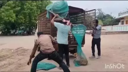 వినుకొండ పట్టణంలో వీధి కుక్కలను పట్టుకున్న మున్సిపల్ సిబ్బంది