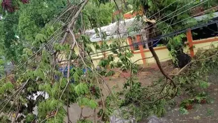 बिचौली हप्सी: तेज हवा के साथ बारिश से लोगों को गर्मी से मिली राहत, कई जगह नुकसान, सड़क पर गिरे पेड़, दुकानों में भरा पानी