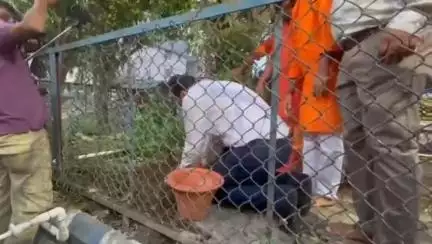মাটিগাড়া: শিলিগুড়িতে তুলসী গাছের চারা রোপন করে মহেশতলার ঘটনার প্রতিবাদ জানালেন ইন্দ্রনীল খাঁ