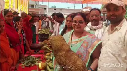 रमना: गढ़वा के रमना में आम महोत्सव सह बागवानी मेले का आयोजन