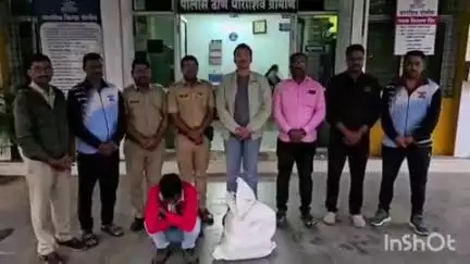 येडशी येथील हॉटेल समाधान समोरून मुंबईकडे विक्रीसाठी निघालेला गांजा पकडला, स्थानिक गुन्हे शाखेच्या पथकाची कारवाई
