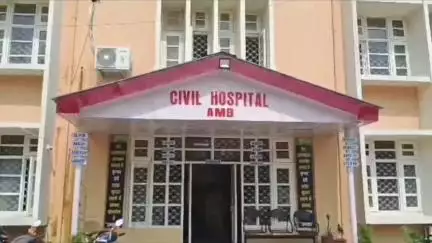 अम्ब: चक्क में सांप के काटने से 65 वर्षीय महिला की मौत