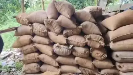 ଭୋଗରାଇ: ଶ୍ରଦ୍ଧାପୁର ସେବା ସମବାୟ ସମିତିରେ ବିଭିନ୍ନ ସମସ୍ୟାରେ ଚାଷୀ ହନ୍ତସନ୍ତ #jansamasya