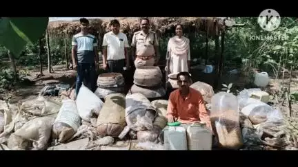 कसडोल: कसडोल आबकारी विभाग ने की बड़ी कार्रवाई, 45 बल्क लीटर महुआ शराब और 1100 किलोग्राम महुआ लाहन किया जब्त