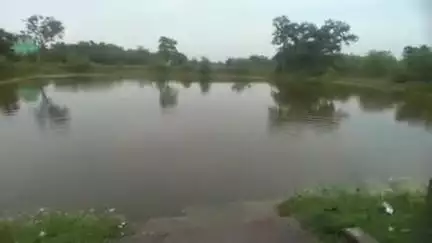 କେନ୍ଦୁଝର ସହର: ଜରଦା ଗ୍ରାମରେ ଘର ସମ୍ମୁଖ ପୋଖରୀରେ ବୁଡ଼ି ଶିଶୁ କନ୍ୟା ମୃତ, ପ୍ରତିକ୍ରିୟା ରଖିଲେ ସରପଞ୍ଚ