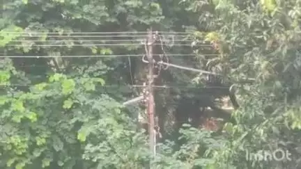 ರಾಣೇಬೆನ್ನೂರು: ಜೂ.13ರಂದು ತಾಲ್ಲೂಕಿನ ಬೇಲೂರು, ಹೀಲದಹಳ್ಳಿ ಸೇರಿದಂತೆ ಹಲವೆಡೆ ವಿದ್ಯುತ್ ವ್ಯತ್ಯಯ