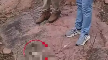 जतारा: मुहारा की पहाड़ियों में मिली मानव हड्डियां, पुलिस अन्य सामान बरामद कर जांच में जुटी