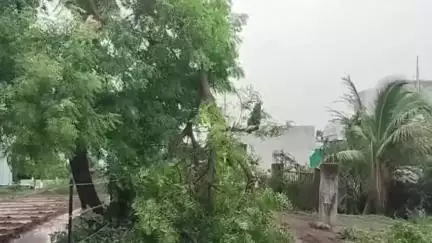नगर: नगर तालुक्यात वादळी वाऱ्याने मोठे नुकसान