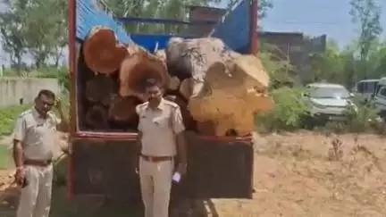 सीमलवाड़ा: धम्बोला पुलिस ने मांडली में अवैध रूप से परिवहन करते हुए गीली लकड़ी से भरा ट्रक किया ज़ब्त