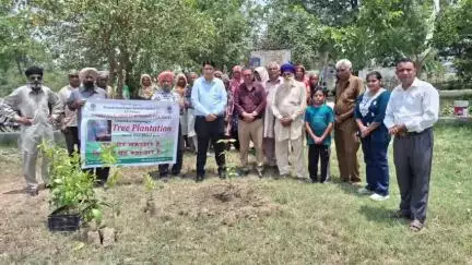 ਨਵਾਂਸ਼ਹਿਰ: ਰੁੱਖ ਲਗਾਉਣ ਦੀ ਮੁਹਿੰਮ ਤਹਿਤ ਪਿੰਡ ਹੰਸਰੋਂ ਵਿੱਚ ਵੱਖ ਵੱਖ ਤਰ੍ਹਾਂ ਦੇ ਲਗਾਏ ਬੂਟੇ
