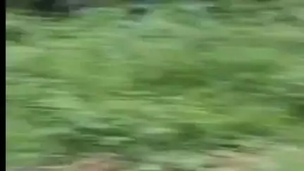 മണ്ണാർക്കാട്: ദേശീയപാതയിൽ കാഞ്ഞിക്കുളം സത്രം കാവിനും എംഎൽഎ റോഡിനും ഇടയിൽ കാറുകൾ കൂട്ടിയിടിച്ച് അപകടം
