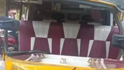 गोपद बनास: सीधी जिले के शिवपुरवा के पास तेज रफ्तार ऑटो पलटा, हादसे में दो लोग घायल
