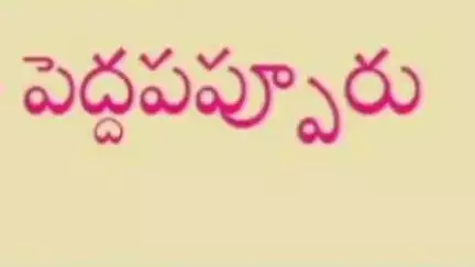 తాడిపత్రి: పెద్దపప్పూరు మండలం చిన్నయకల్లూరు గ్రామంలో ఒకేసారి 67 గొర్రెలు మృతి, కన్నీరు పెట్టుకున్న గొర్రెల కాపరి కంబన్న