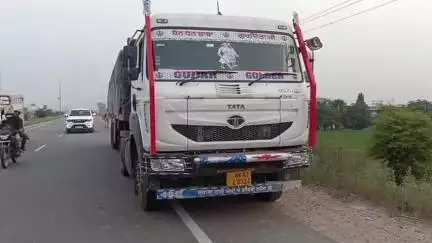 कैराना: कैराना में हाईवे पर किसान और भैंस की मौत के मामले में ट्रक चालक के खिलाफ मुकदमा दर्ज