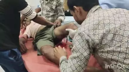 भीलवाड़ा: कल्याणपुरा में घर के बाहर घूम रहे बुजुर्ग पर बेल ने किया हमला, गंभीर घायल, अस्पताल में इलाज जारी