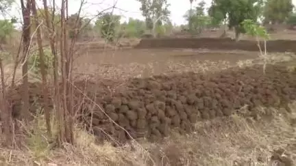 मंडला: सुरंगदेवरी में आरआई, पटवारी व कोटवार पर बिना सूचना सीमांकन और धमकाने का आरोप, कलेक्टर से शिकायत