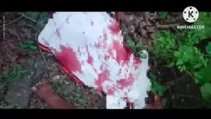 कारंजा: बापरे!वाघ होता प्रेताजवळ उभा.. वाघाच्या हल्ल्यात युवा गोपालकाचा मृत्यू,ओरडा करताच वाघाने केले पलायन मेठहीरजी शिवार घटना