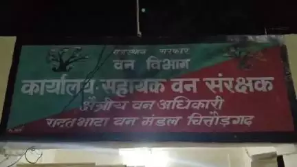 रावतभाटा: रावतभाटा और भैंसरोडगढ़ में वन्यजीव गणना के दौरान पैंथर की दस्तक, कैमरों में कई वन्य जीव कैद हुए