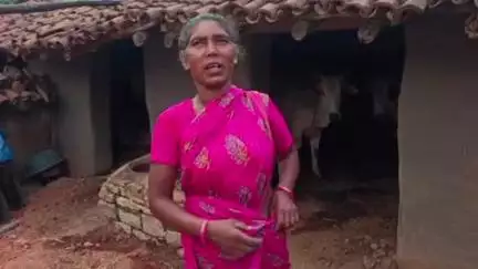 अल्बर्ट एक्का (जारी): जारी प्रखंड में गाय निर्माण शेड में घोटाला, कार्य नहीं होने पर भी पैसों की निकासी