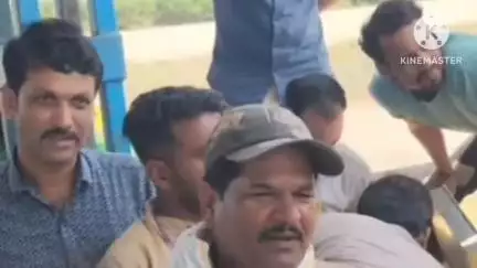 आगर: आगर कृषि उपज मंडी में 3942 बोरी गेहूं की आवक, भाव ₹2200 से ₹2674 प्रति क्विंटल रहा
