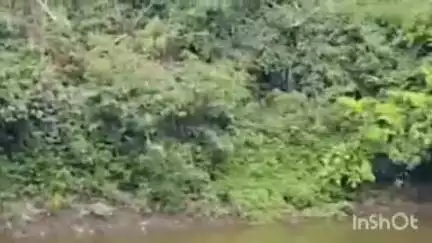 निफाड: पिंपळगावला दानपेटी चोरणारे संशयित 03 आरोपी जेरबंद