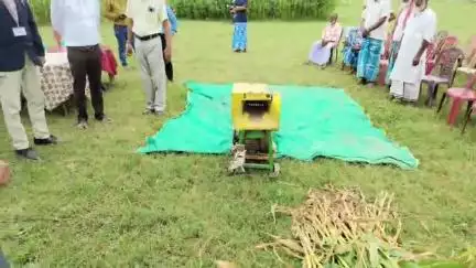 মানকাচৰ: জিলা কৃষি বিভাগৰ পৰা যোগান ধৰা মাকৌৰ বীজৰ পৰা খেতি‌কৰা‌ কৃষকৰ  খেতি চাবলৈ উপস্থিত অসম ৰাজহ আৰু দুৰ্যোগ ব্যৱস্থাপনাৰ সচিব