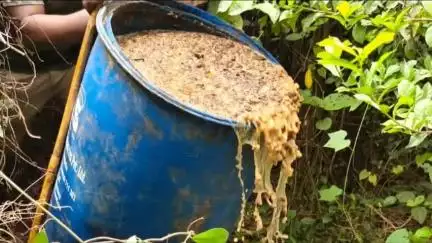 বিনপুর ২: চোলাই মদের ঠেকে অভিযান আবগারি দপ্তরের, বেলপাহাড়ী সহ একাধিক এলাকায় অভিযান নষ্ট করা হয় বিপুল পরিমাণ চোলাই
