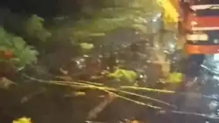 गंगापूर: वैजापूर गंगापूर रोडवर समृद्धी महामार्गाच्या पुलापासून काही किमी अंतरावर विद्युत तारा पडल्याने वाहतूक खोळंबली
