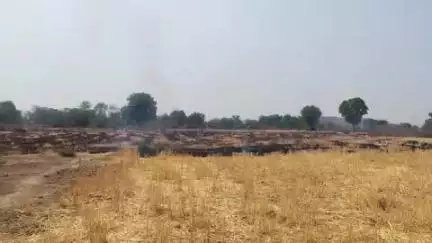 छतरपुर: ईशानगर क्षेत्र ग्रामों में खेतों में जलाई नरवाई,कलेक्टर का आदेश बेअसर !