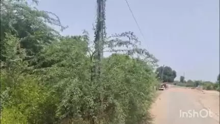 ડભોઇ: ફરી એકવાર ડભોઇના કુંઢેલા ગામે 18 ગામના વીજવાયરો કપાતા ગામ અને ખેતરોમાં અંધારપટ છવાયો#jansamasaya