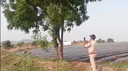 सेंधवा: पेड़ को देखकर लोगों की लगी भारी भीड़ 
नागलवाड़ी सेंगाव रोड पर एक युवक का शव पेड़ से लटका हुआ मिला