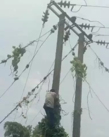 कोचाधामन: सराय लाइन में मेंटेनेंस के कारण कोचाधामन में तीन घंटे विद्युत आपूर्ति बाधित रहेगी