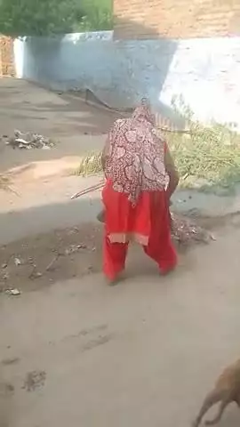 ward num
ber 32 ghar ke kude  wali sadak ke kuda  utha rahi hai@