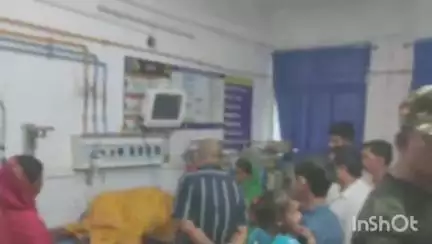 जमुई: छापा गांव स्थित खेत में मूंग काटने गई महिला के पैर में सांप ने डसा, सदर अस्पताल में कराया भर्ती