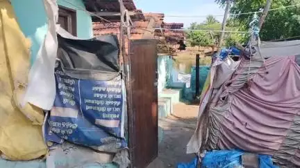 வேடசந்தூர்: தெரு நாய்களுக்கு மத்தியில் வாழ்வதா, சாவதா, குங்கும காளியம்மன் கோவில் தெருவில் மூதாட்டி கண்ணீர்