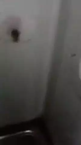 মেদিনীপুর: শুক্রবার সকালে পুরুলিয়া হাওড়া সুপারফাস্ট এক্সপ্রেসে সাপ ! মেদিনীপুরে দাঁড় করে দেওয়া হল ট্রেন
