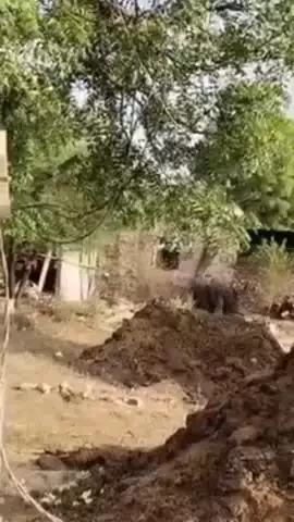 बस्सी: गोविंदगढ़ के अनंतपुरा में बिजली के खंभे से टूटकर गिरे तार की चपेट में आने से खेत में काम कर रहे किशोर की हुई मौत