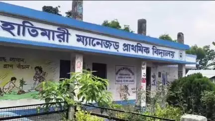 গাজোল: হাতিমারি ম্যানেজড প্রাথমিক বিদ্যালয় প্রাঙ্গণে পুরোনো বটগাছ কাটা নিয়ে ক্ষুব্ধ গ্রামবাসীরা