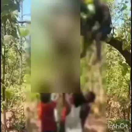 कोरबा: मानसिक बीमारी से परेशान किसान ने दी जान, कोरबा के नवाडीह गांव में जंगल में पेड़ से लटका मिला शव
