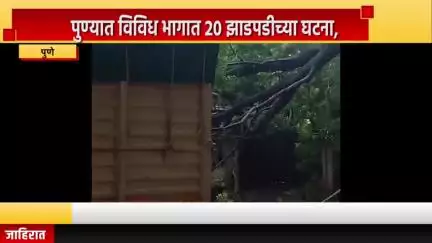 पुणे शहर: पुण्यात विविध भागात 20 झाडपडीच्या घटना, पाषाण मध्ये झाडाखाली वाहने अडकली