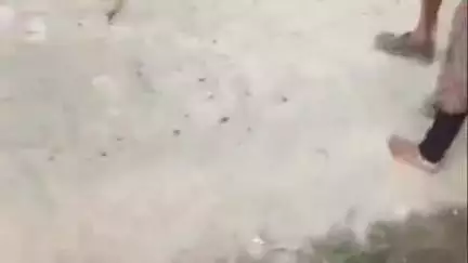 ओदर मजरे काशो गांव में दबंगों ने लाठी-डंडों से युवक पर किया हमला, युवक की हालत नाजुक, वीडियो हुआ वायरल