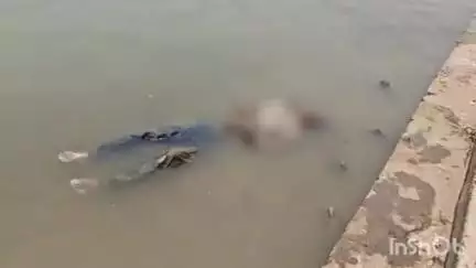 होशंगाबाद नगर: पर्यटन घाट के पास नर्मदा नदी में तैरती मिली अज्ञात युवक की लाश, पुलिस कर रही जांच