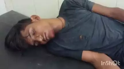 भितरवार: करियावटी गांव में पेट्रोल पंप के पास गाय से टकराई बाइक, दो लोग घायल